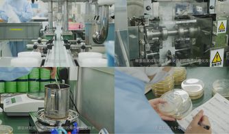 櫻花約定，匠心傳承 日本娜麗絲衛(wèi)生用品的前世今生